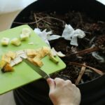 Green Gold: Composting Your Kitchen Waste for Lush Gardens