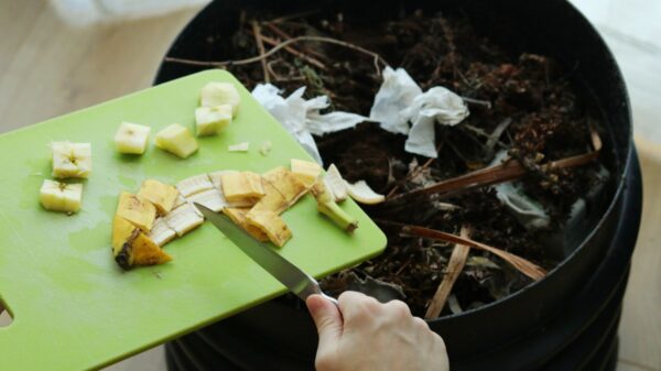 Green Gold: Composting Your Kitchen Waste for Lush Gardens