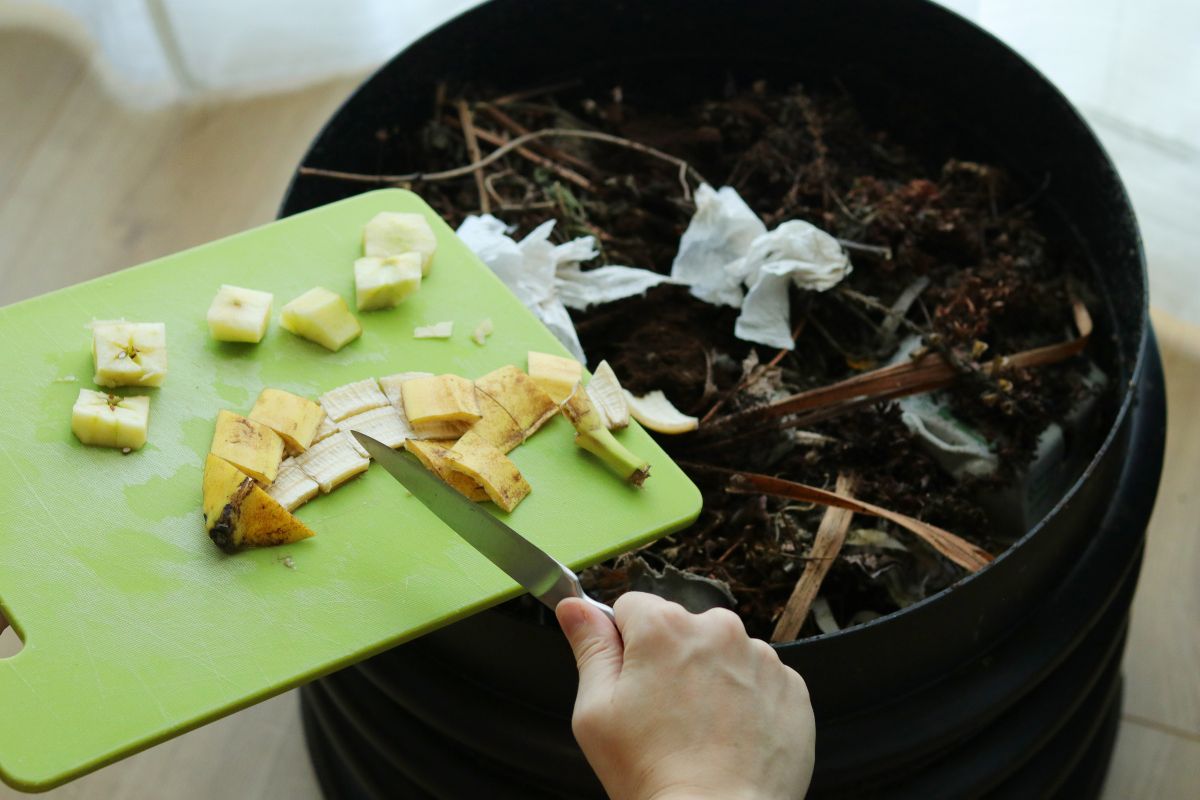 Green Gold: Composting Your Kitchen Waste for Lush Gardens