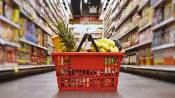 Green Choices for Your Weekly Food Shopping: Navigating the Supermarket Sustainably